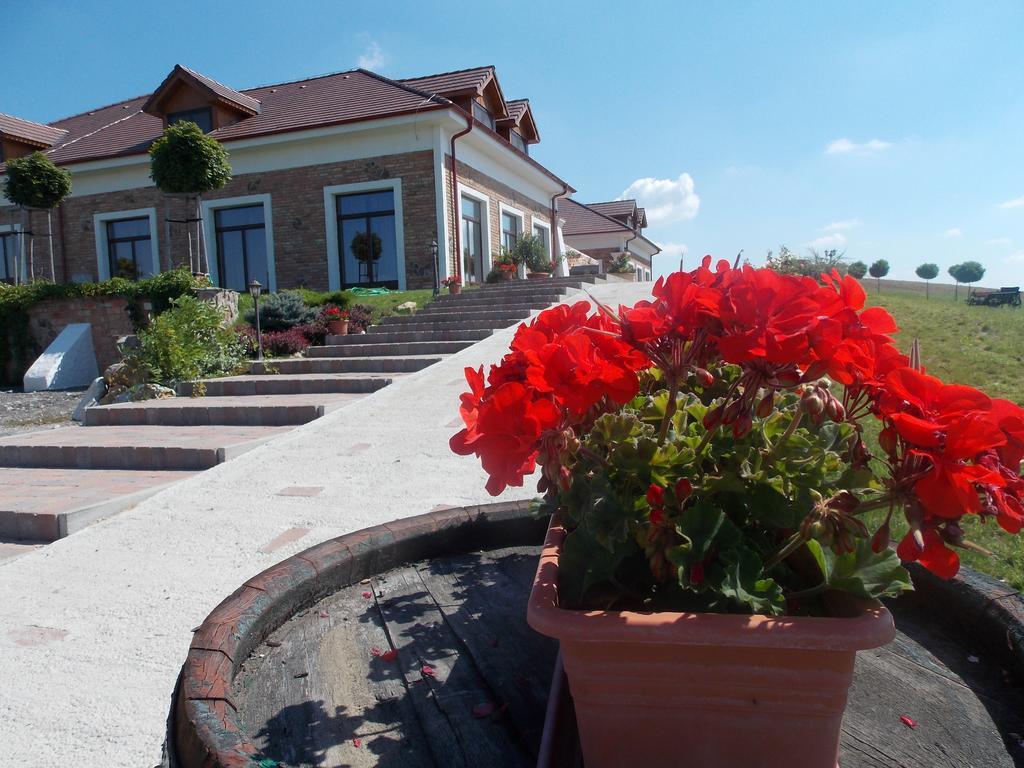 St Peter Vini Hotel Svaty Peter Екстериор снимка